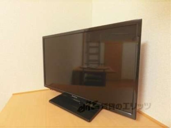 テレビ