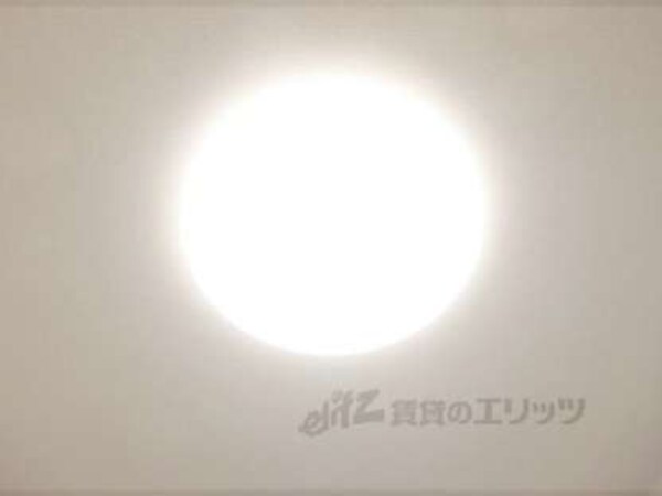 照明