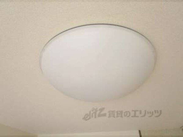照明