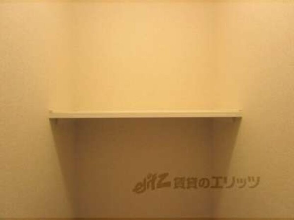 棚