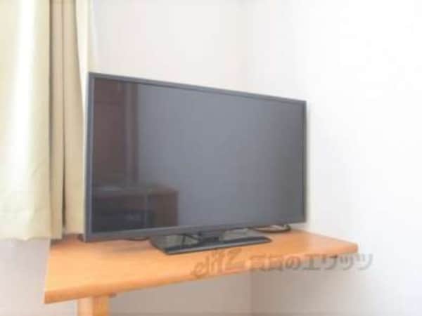 テレビ