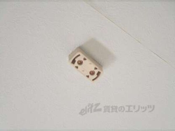 照明