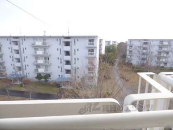 南側眺望