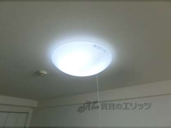 照明