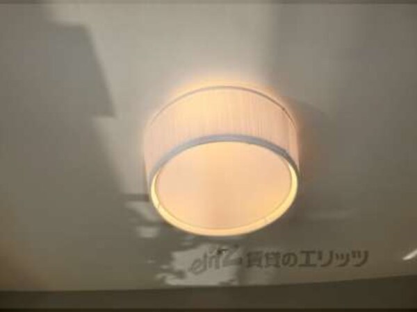 照明