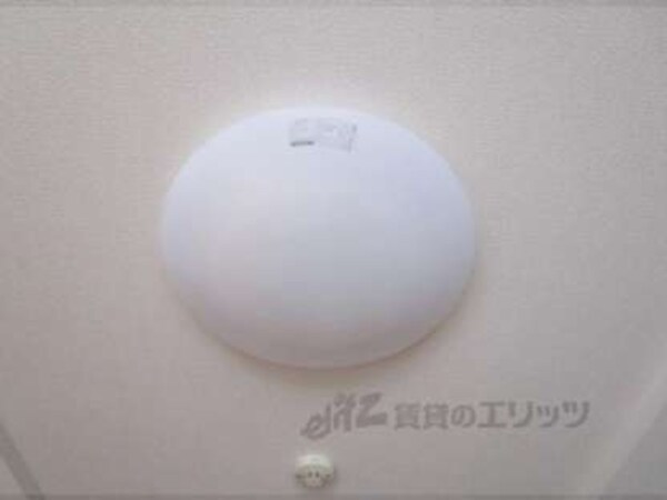 照明