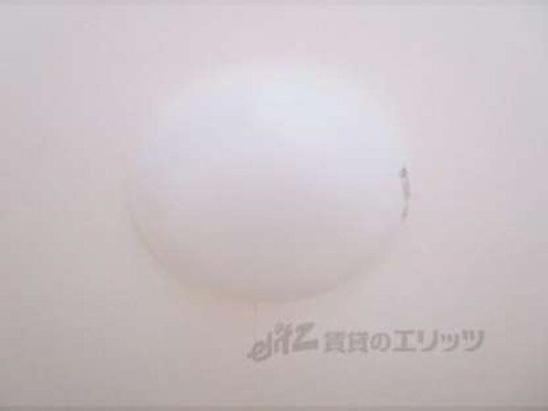 照明