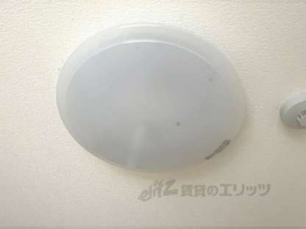 照明