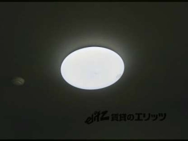 照明