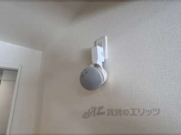 アレクサ