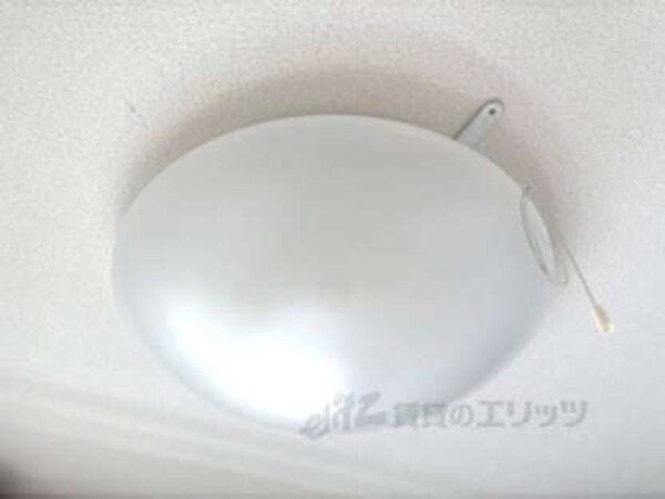 照明