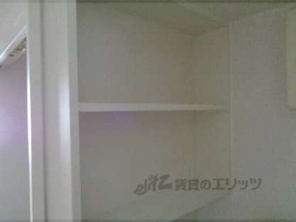 棚