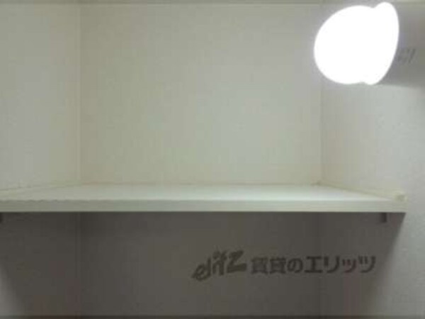 棚