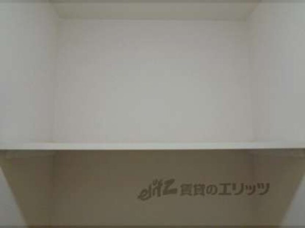 棚