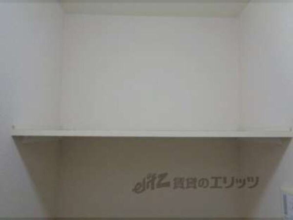 棚