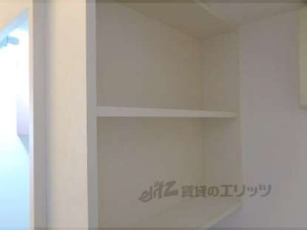 棚