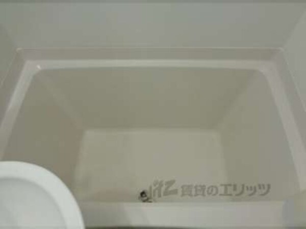 テレビ