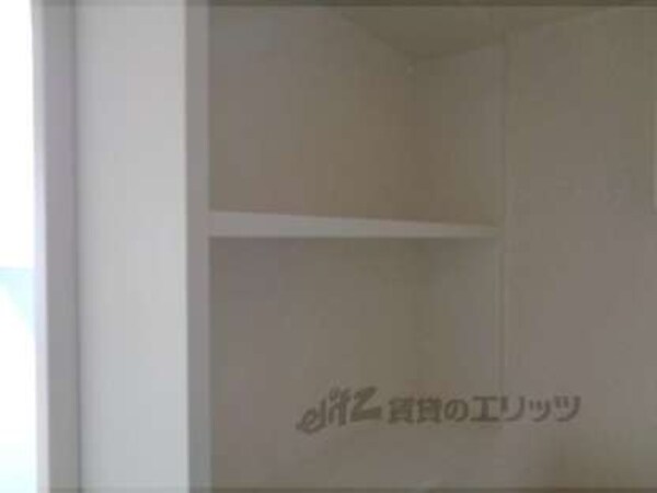 棚