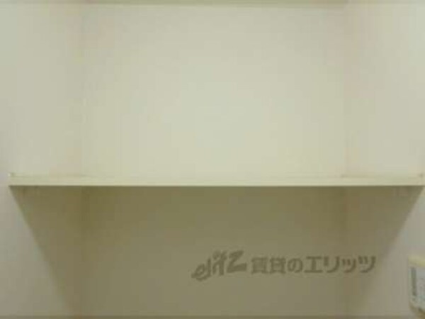 棚