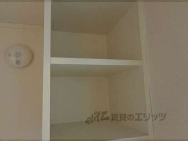 棚