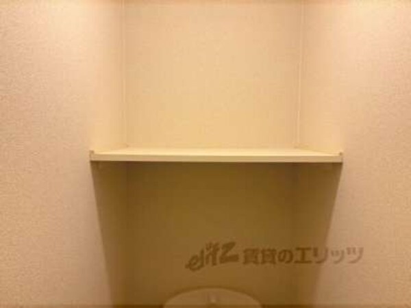 棚