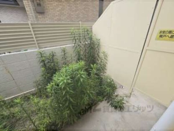 庭
