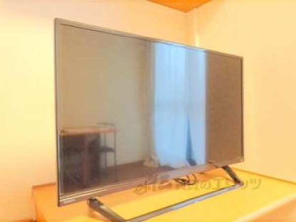 テレビ