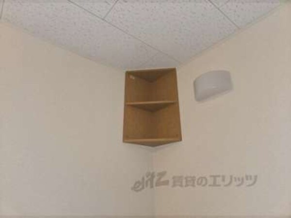 棚