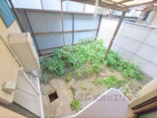 庭