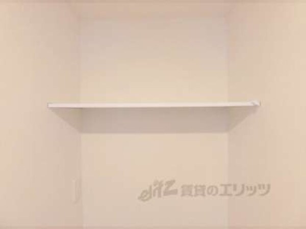 棚