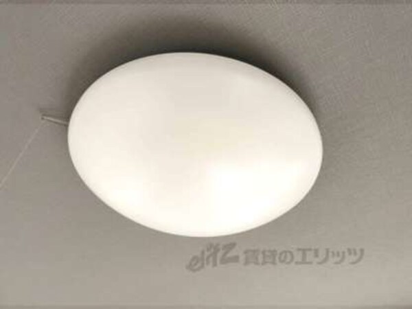 照明