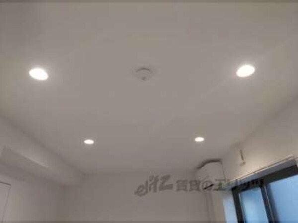 照明