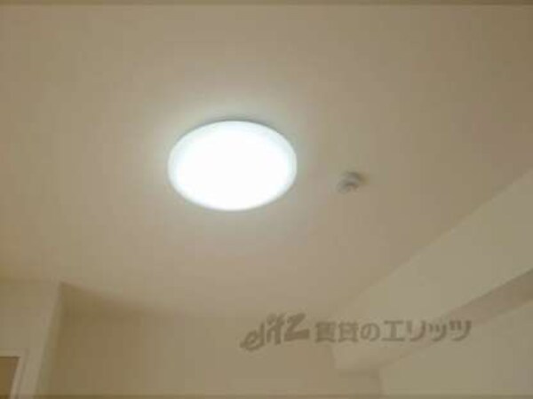 照明
