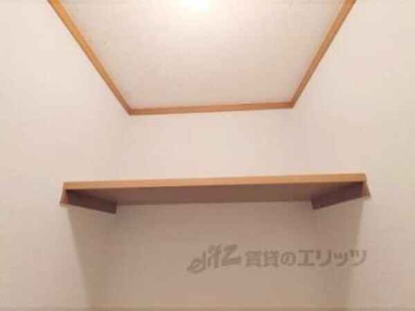 棚