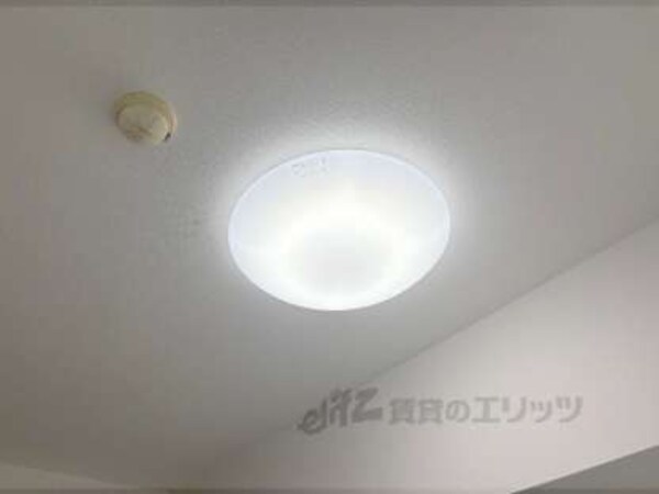 照明
