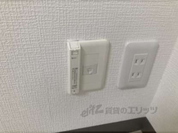 ネット差込口