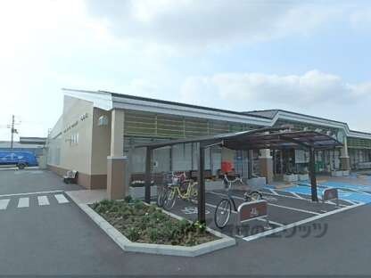 生活協同組合コープ　もりやま店