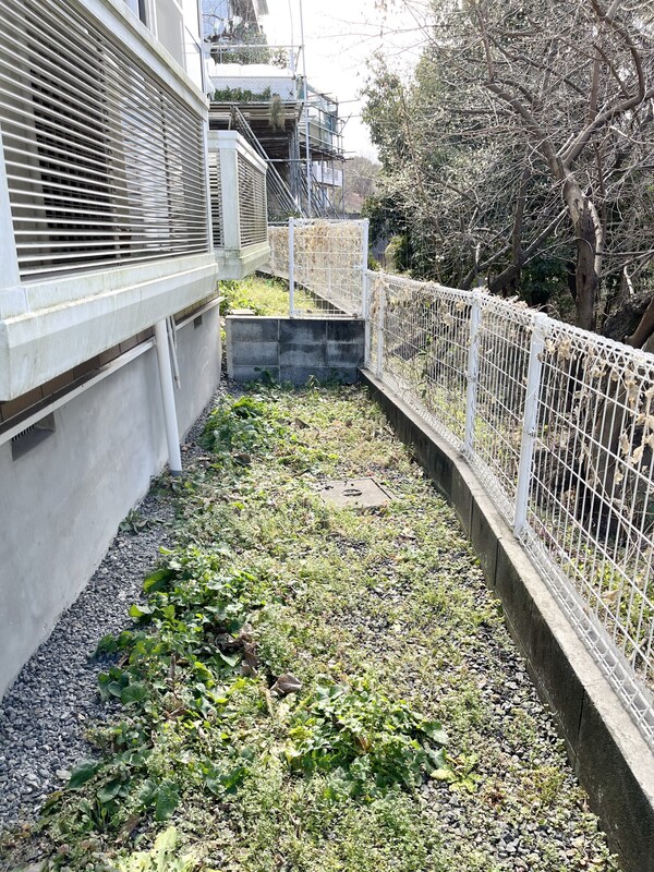 庭