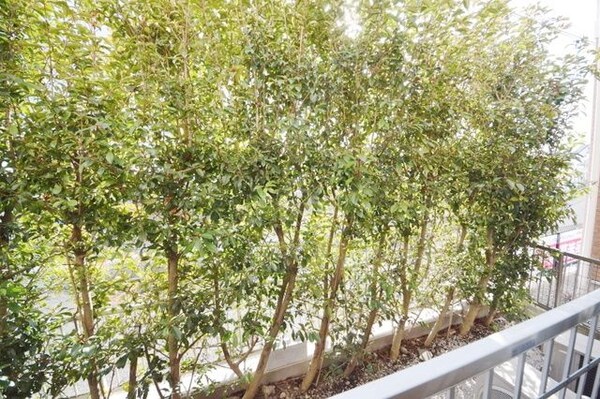 眺望(★お部屋からの景色★)