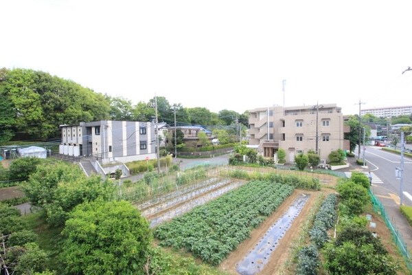 眺望(★お問い合わせは、地域密着のタウンハウジングまで★)