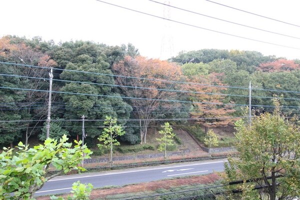 眺望(★バルコニーからの景色★)