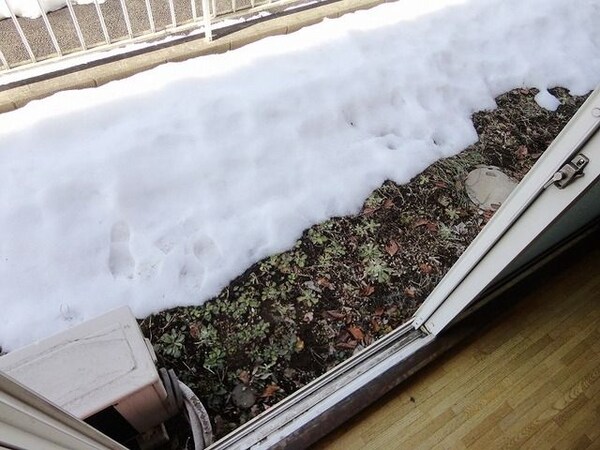 設備(★バルコニー★)