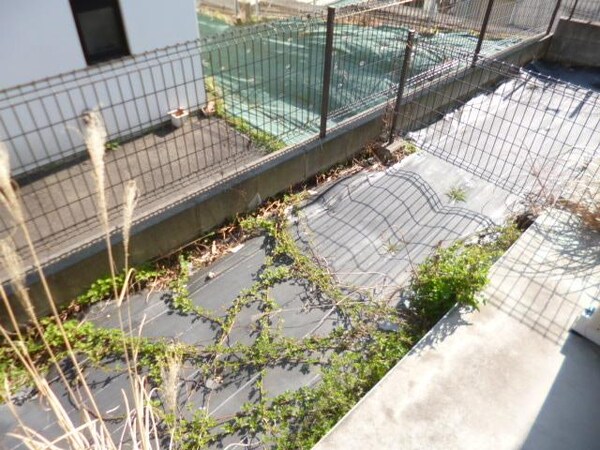 庭(★お部屋探しはタウンハウジング稲田堤店まで★)