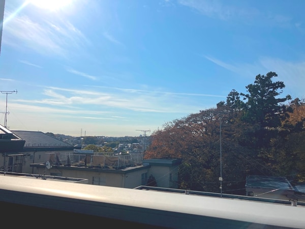 その他(展望)