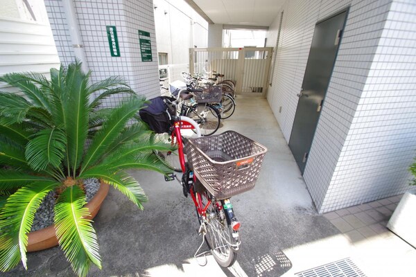 駐車場(駐車場)