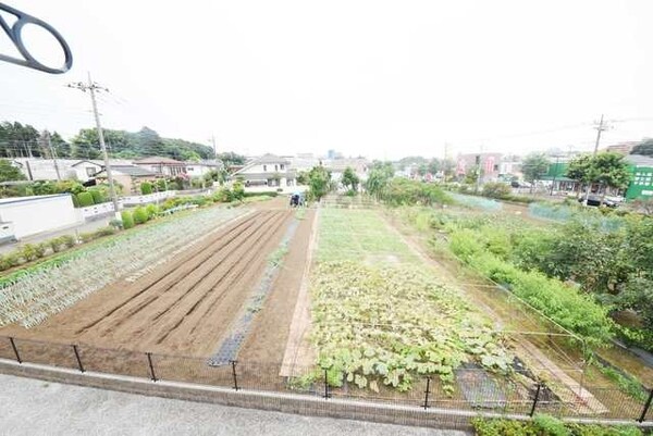 眺望(★　見晴らしのいいお部屋★)