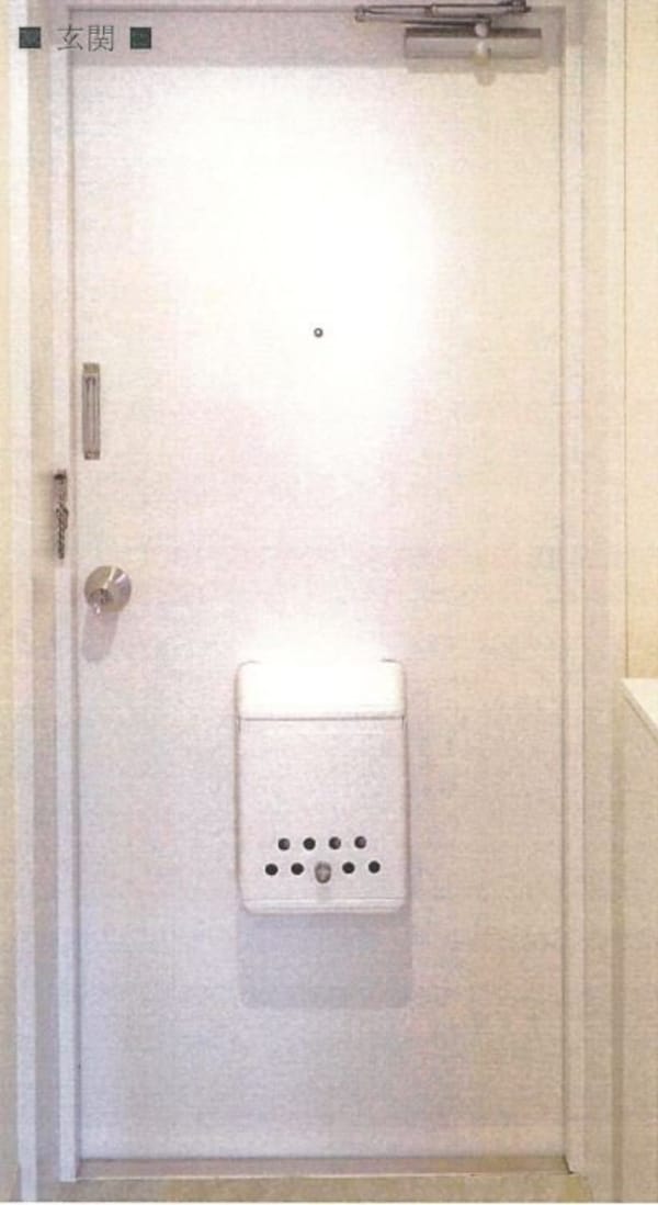 玄関(リノベーションイメージ写真)