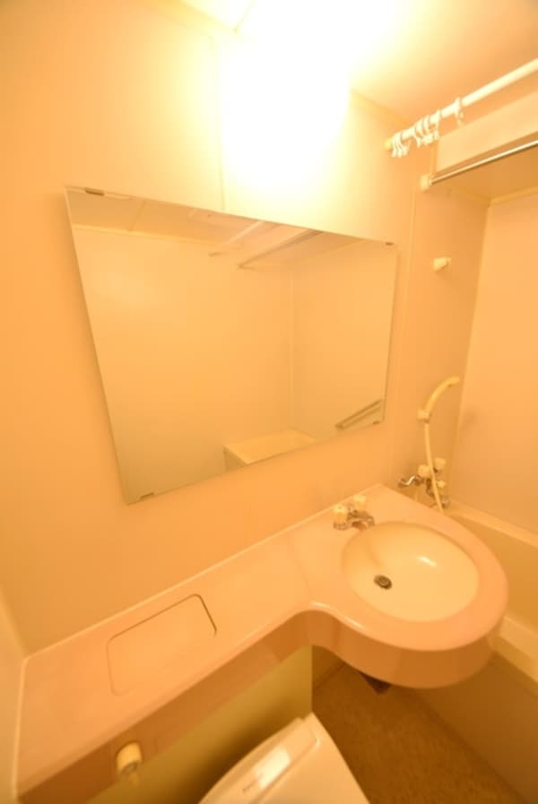 洗面(別部屋参考写真)