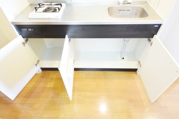 その他(★キッチン下★※別部屋参考写真)