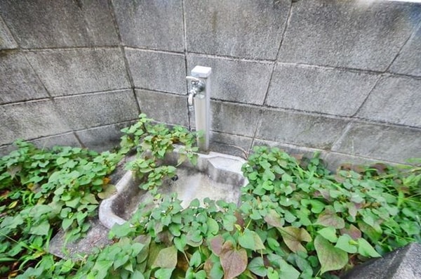 共有部分